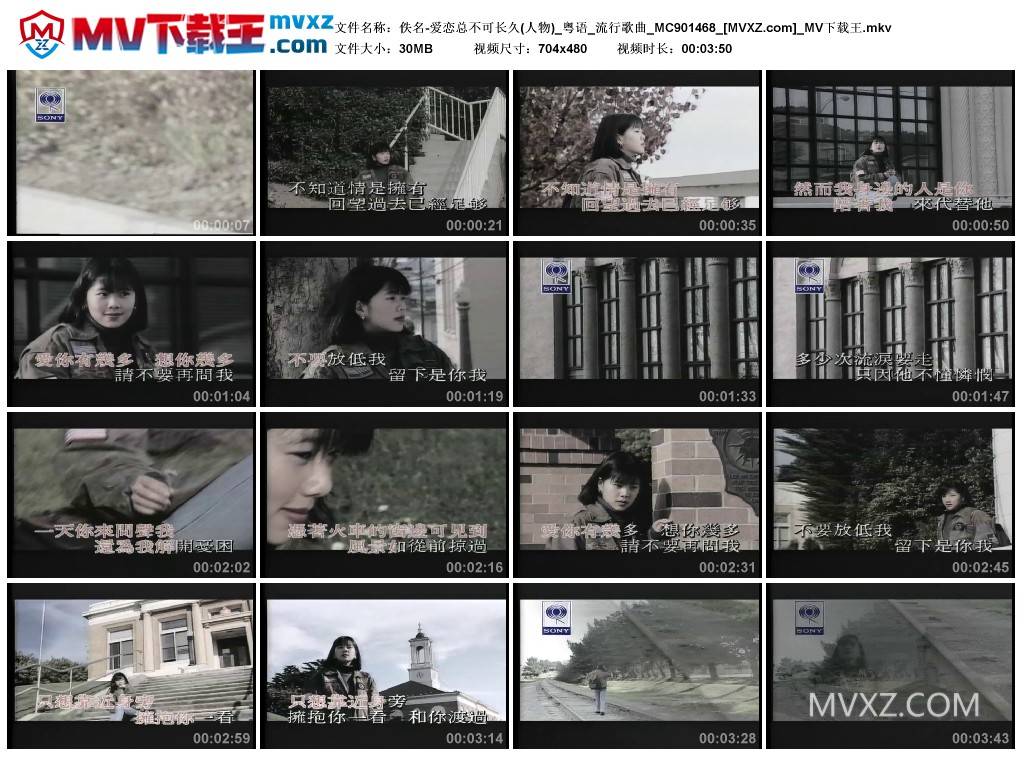 佚名-爱恋总不可长久(人物)_粤语_流行歌曲_MC901468